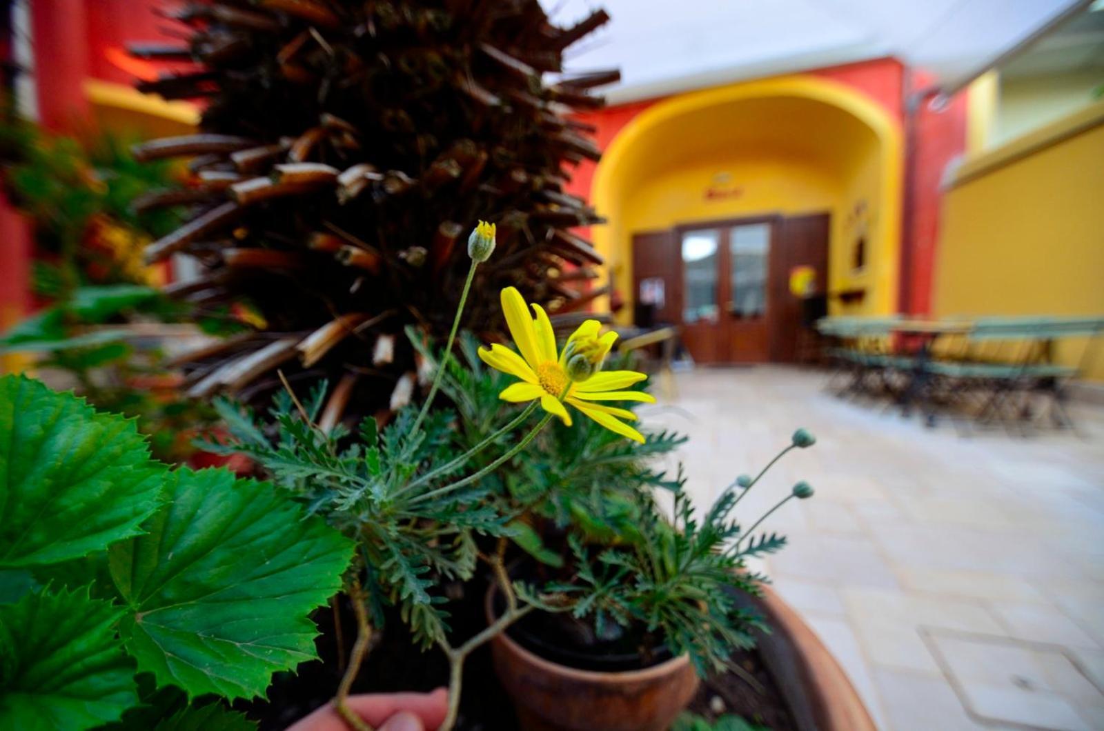 Manouche Osteria B&B San Leucio Eksteriør bilde