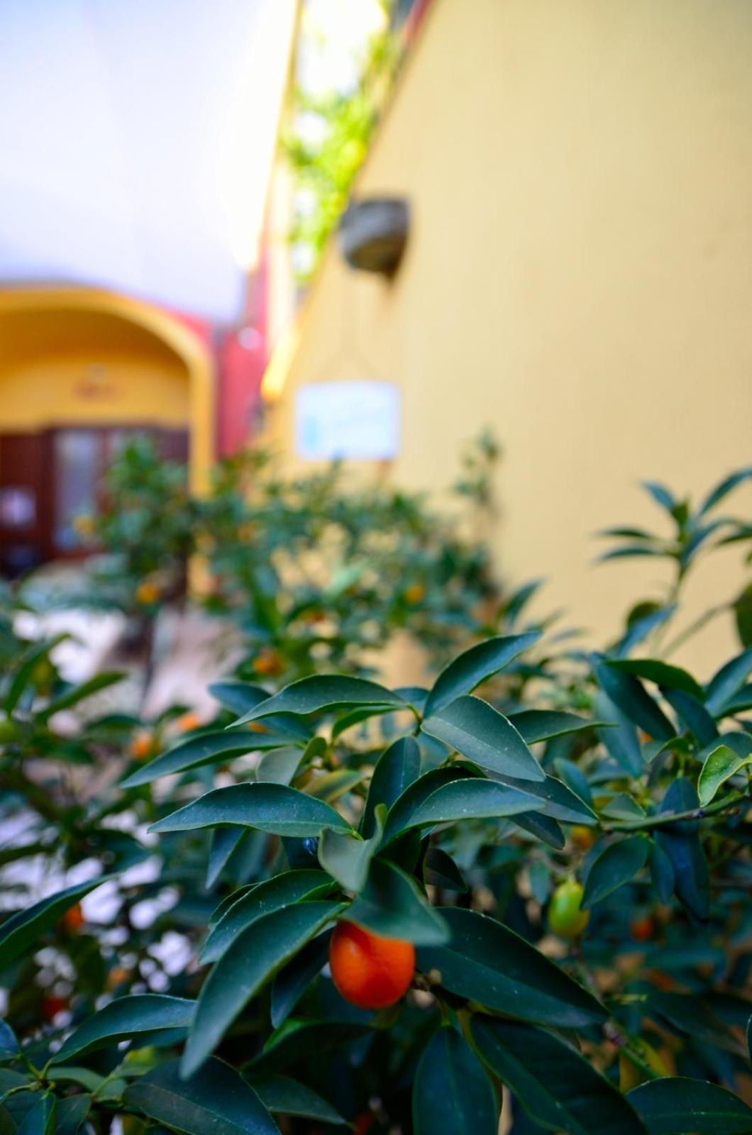 Manouche Osteria B&B San Leucio Eksteriør bilde